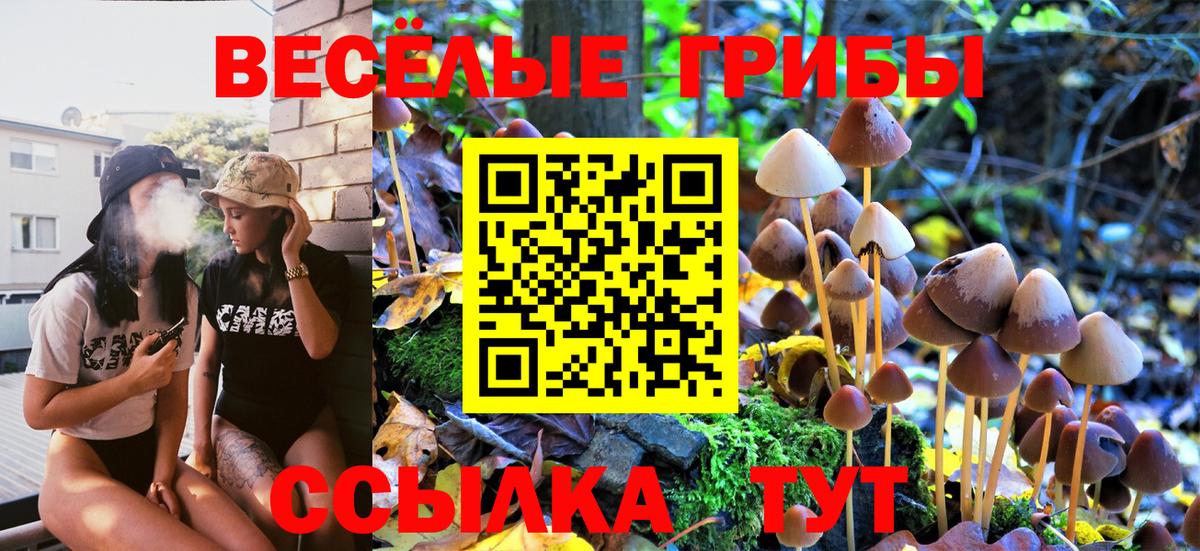Урюпинск  Псилоцибиновые грибы GOLDEN TEACHER  Вход с VPN 